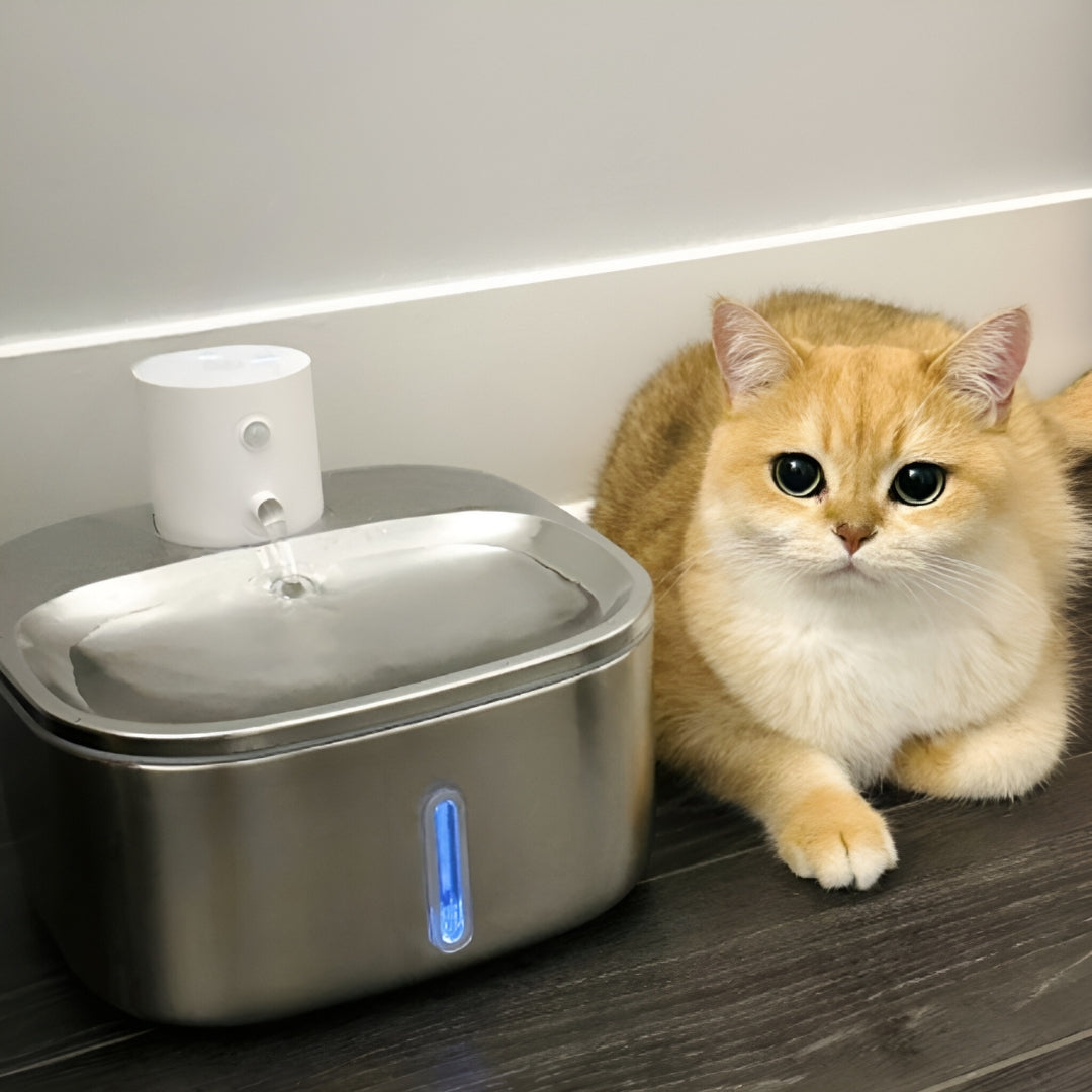 Paws & Tails juoma-automaatti