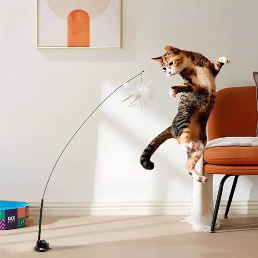 Pomppiva lintu - kissan lelu