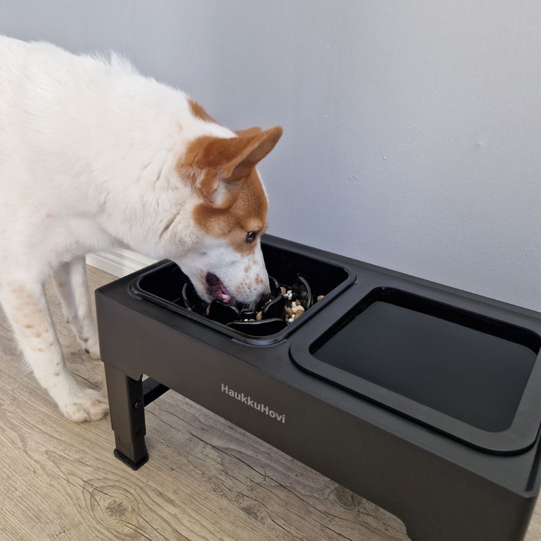 HaukkuHovin ruokapöytäsetti