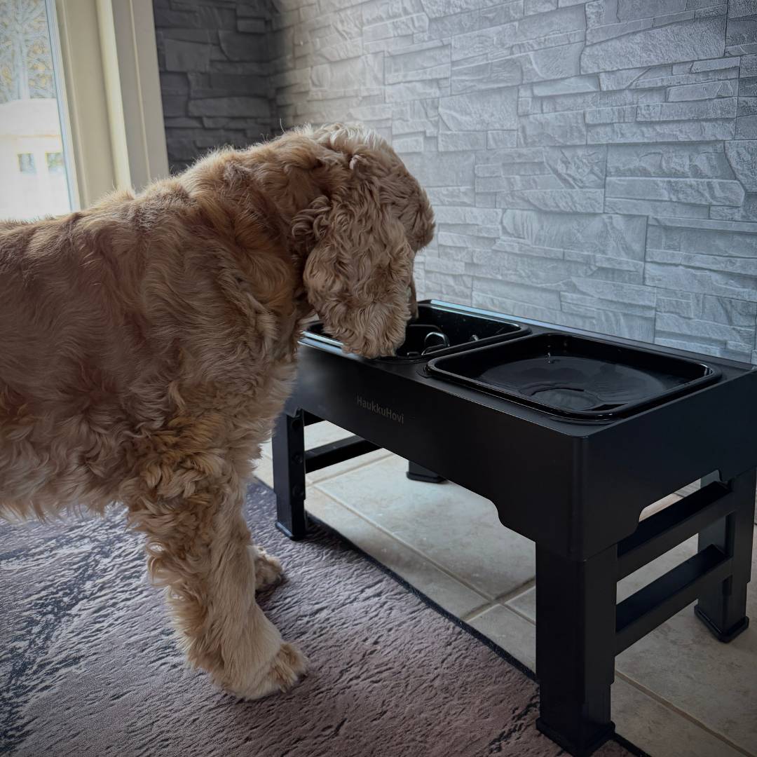 HaukkuHovin ruoka-asema