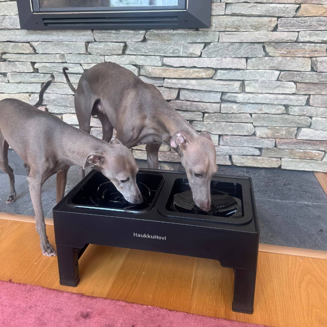 HaukkuHovin ruoka-asema