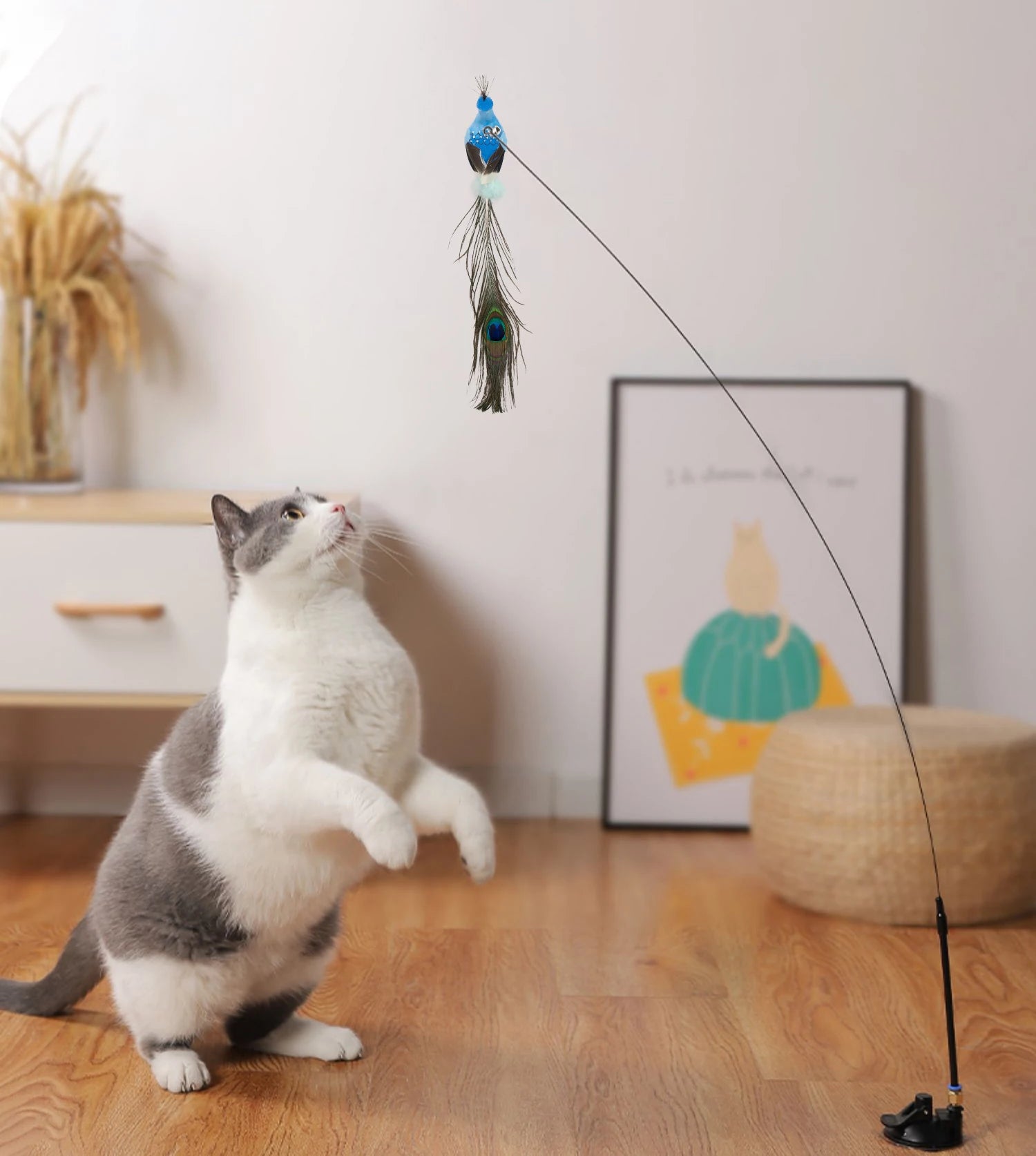 Pomppiva lintu - kissan lelu