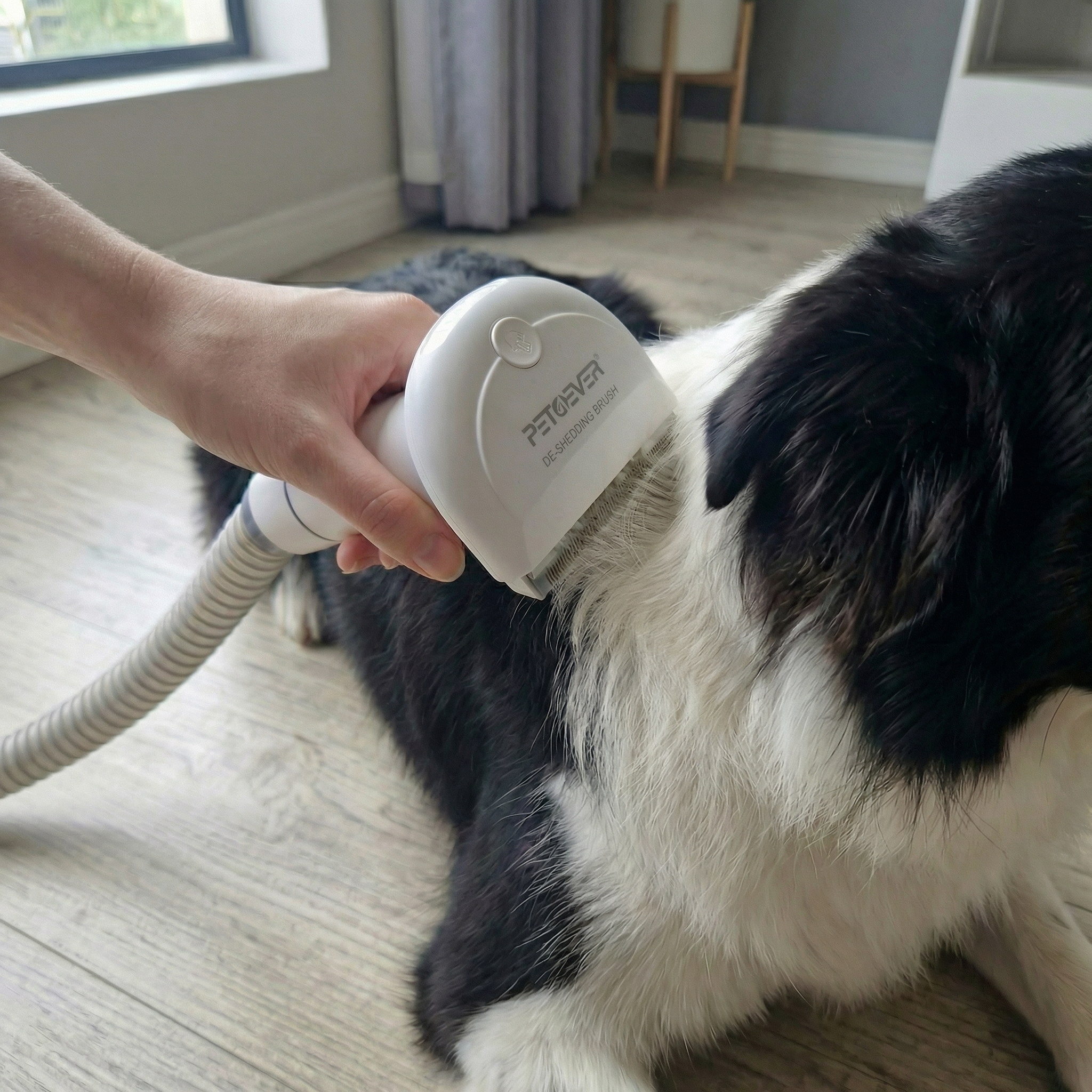 Pet4Ever – turkinhoitosetti