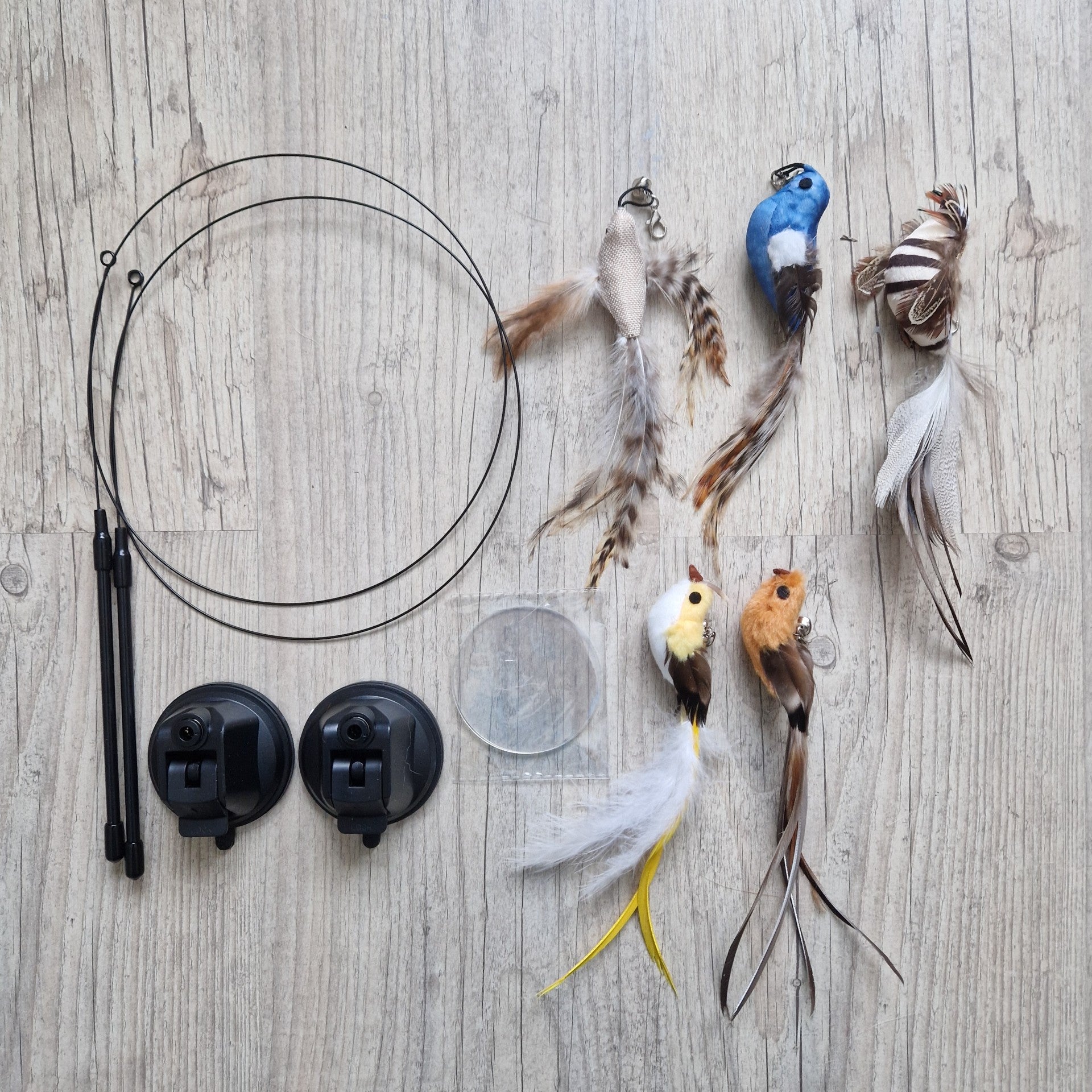 Pomppiva lintu - kissan lelu