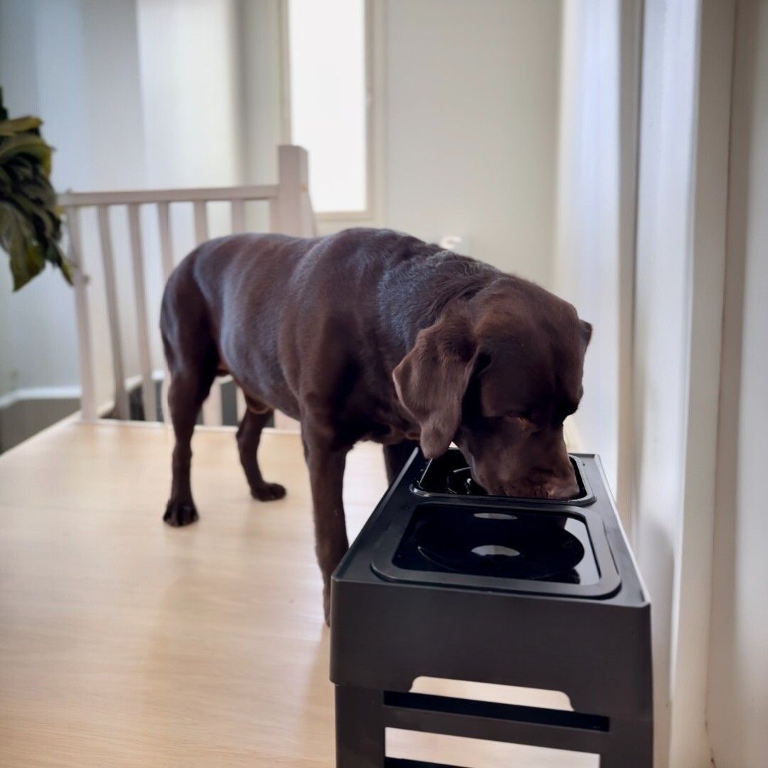 HaukkuHovin ruoka-asema