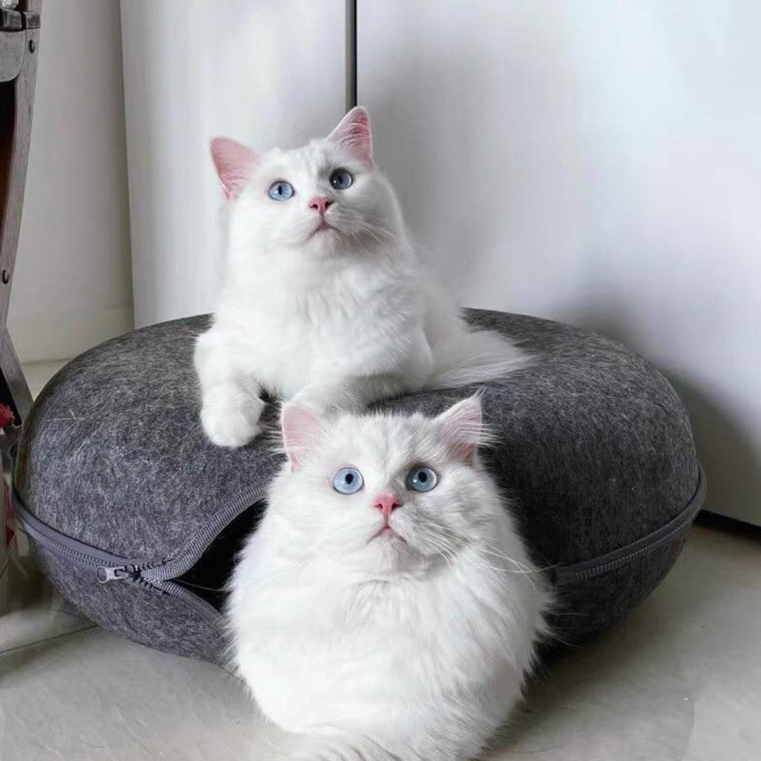 Peek-A-Boo kissatunneli