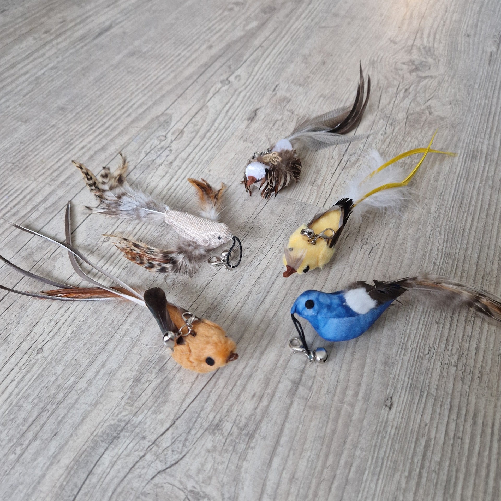 Pomppiva lintu - kissan lelu