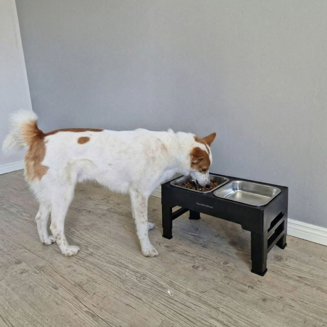 HaukkuHovin ruoka-asema